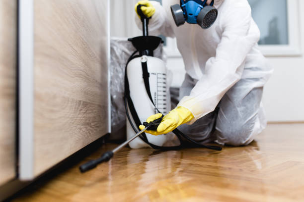 Best Flea Control Services  in Orland Hls, IL