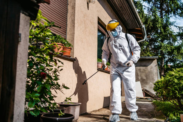 Best Bed Bug Extermination  in Orland Hls, IL