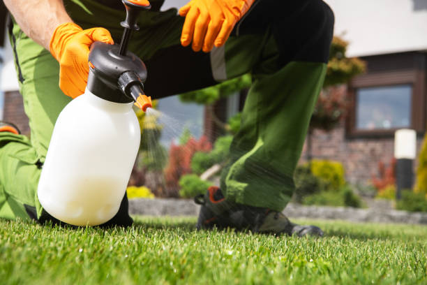 Best Termite Control Services  in Orland Hls, IL