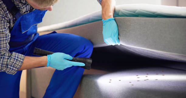 Best Affordable Pest Control Services  in Orland Hls, IL