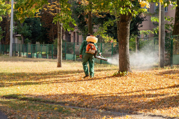 Best Exterminator Services  in Orland Hls, IL